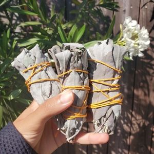 Purple Sage Sticks